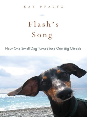 cover image of Flash's Song: How One Small Dog Turned into One Big Miracle
